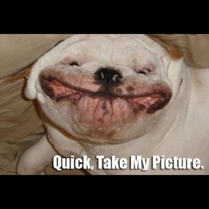 Meet your Posher, Jackson